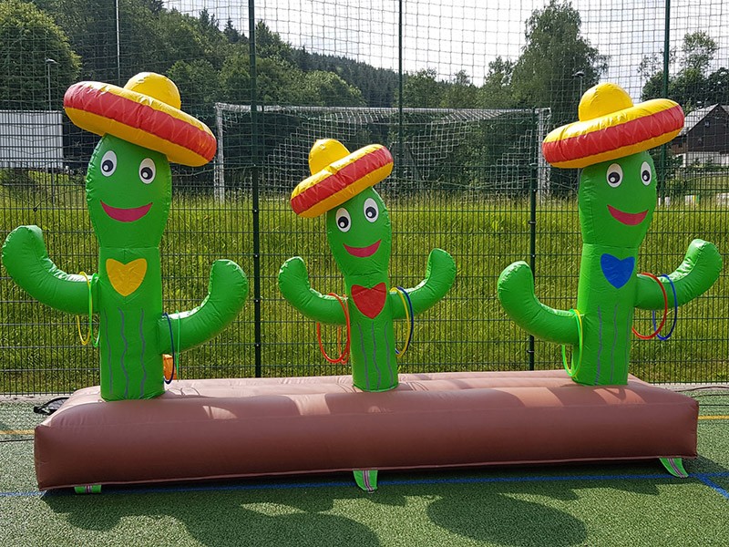 Kaktus-Ringwurfspiel